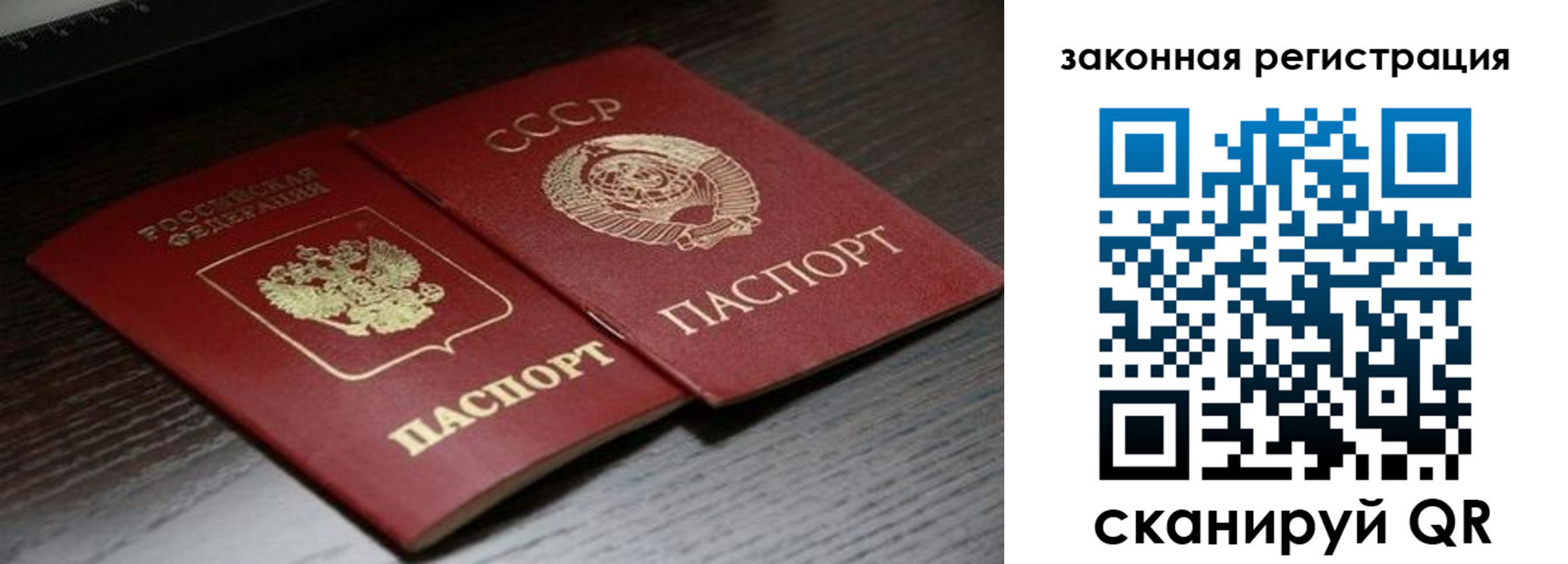 прописка поиск в Купино